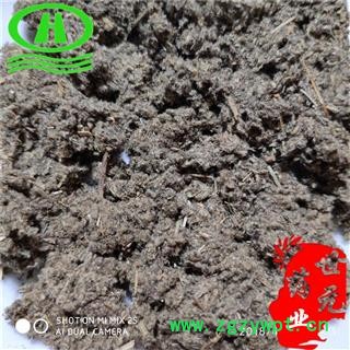 世元药业 艾绒 3:1当年新货 另店内有3-5年艾绒销售图2