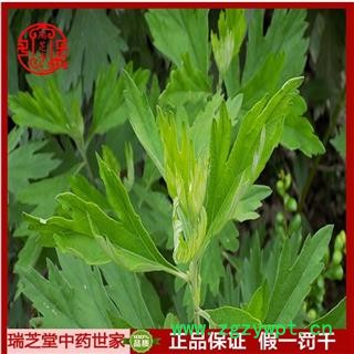 艾叶 艾叶 切碎 产地瑞芝堂产地直销1000克图3