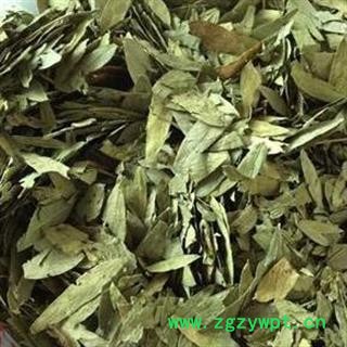 番泻叶 番泻叶统货 产地 天津市安国市场批发零售大全图2