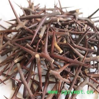 《满198包邮》皂针 皂角刺 纯刺 产地 山东省图2