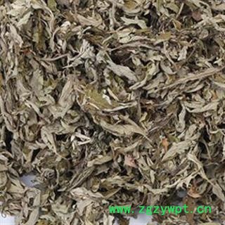 艾叶 统 产地 河南省 中药材艾叶  大艾叶 正品艾叶 安国药市中药材批发零售大全图2