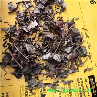 诺源药材行三角枫 追风藤 钻天风 常春藤图2