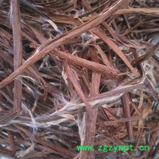 诺源药材行中药材梓白皮 梓实图3