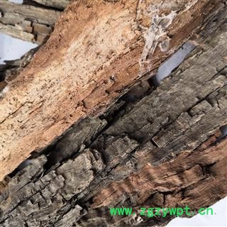 诺源药材行中药材正品酸枣树皮 枣树皮图4