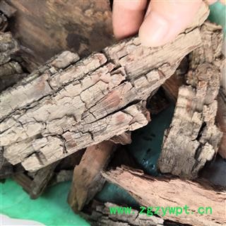 诺源药材行中药材正品酸枣树皮 枣树皮图2