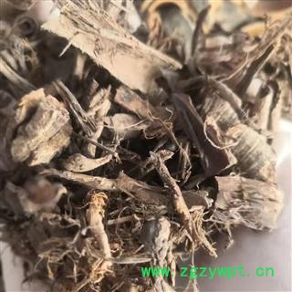 安祁名药厚朴 川厚朴  另有厚朴花图2