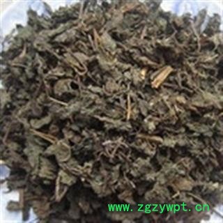 安祁名药紫苏叶图2