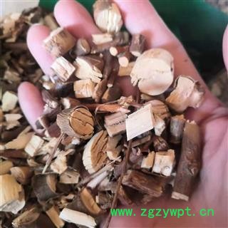 安祁名药柽柳 柳树枝 柳枝图3