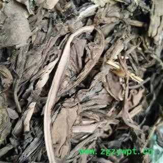 安祁名药大青叶   板蓝根叶  个子大货图3