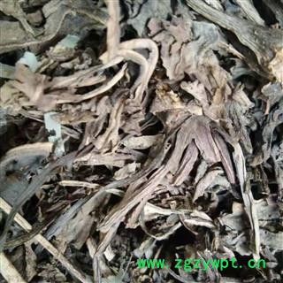 安祁名药大青叶   板蓝根叶  个子大货图2