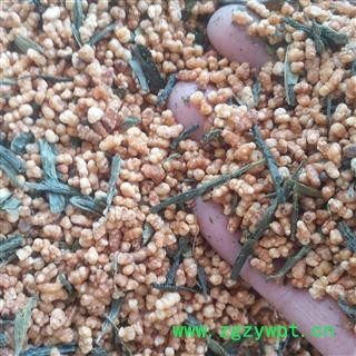 安祁名药优质花茶  玄米茶  精选玄米茶图3