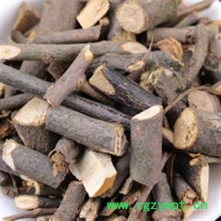 诺源药材行正品野生广寄生 桑寄生图2