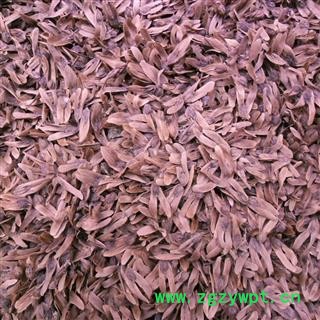 麻柳果 精品货 产地 四川省成都市双流县图4