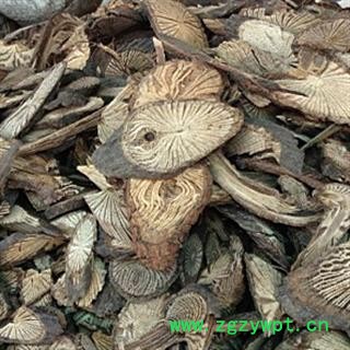 安祁名药正品青风藤 青藤 寻风藤 青防己图2