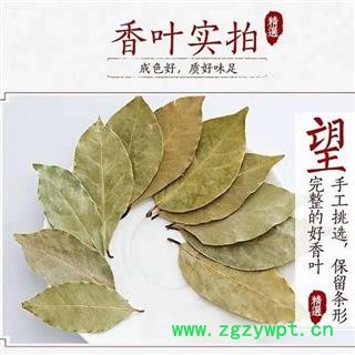 秦岭优质野生香叶 味浓无硫500g图3