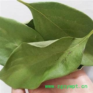 【新货】秦岭柿子叶天然无硫自采日晒精选 无污染500g图2