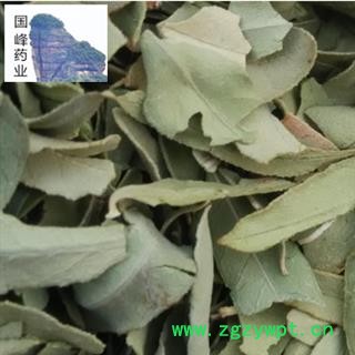 罗布麻叶 大叶 青色 足干 好统货 国峰药业 重在品质 产地 新疆维吾尔自治区图3