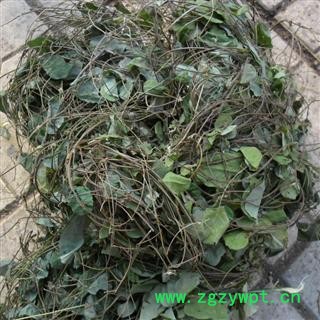 红藤 统 产地 四川省成都市双流县 库存 500公斤可售图2