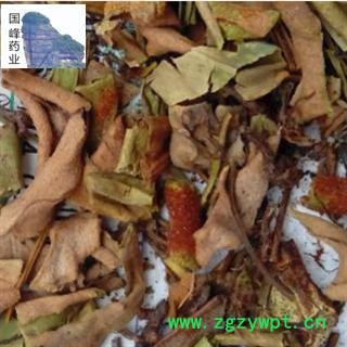 石韦 石伟 颜色好 全干 好统货 国峰药业 重在品质 产地 云南省图2