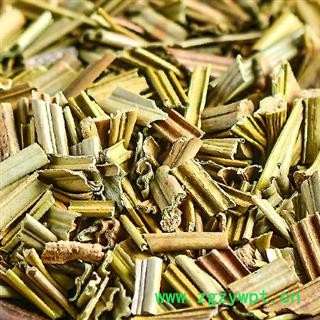 小丽百草行  铁树叶  颜色好图2