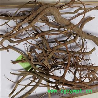 小丽百草行虎刺根 老鼠刺 绣花针根 老虎刺 伏牛花根 干品图2