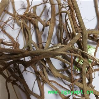 小丽百草行虎刺根 老鼠刺 绣花针根 老虎刺 伏牛花根 干品图3