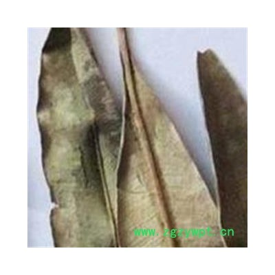 1平安药业 夹竹桃叶 柳叶桃 正品 促销