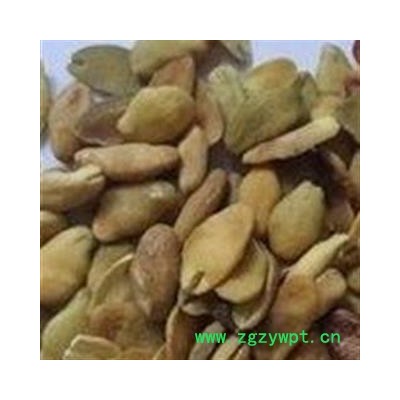 平安药业 黄皮核 黄皮果核 促销