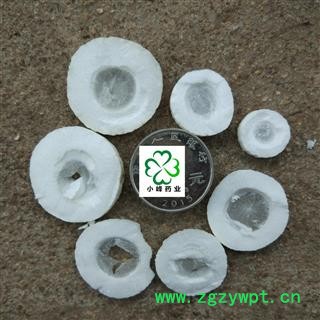 通草 大通草 好统片 新货 颜色好 纯干 产地 四川省图2