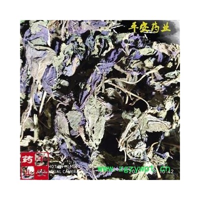 平安药业 紫苏叶 正品切丝 赤苏 紫苏 皱苏 尖苏 香苏叶 鸡冠紫苏 子苏