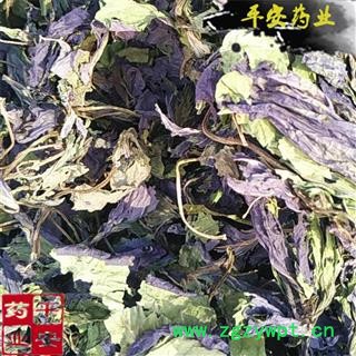 平安药业 紫苏叶 正品切丝 赤苏 紫苏 皱苏 尖苏 香苏叶 鸡冠紫苏 子苏图2