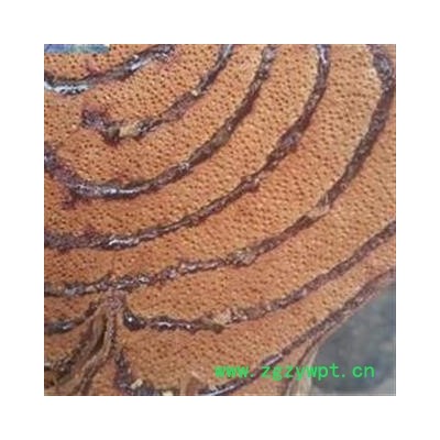 鸡血藤 好统货 血丝多 产地 广西壮族自治区