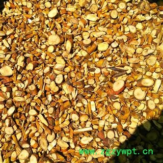 桑寄生 选 产地 黑龙江省  大货批发价图2