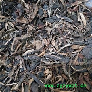 蓼大青叶 蓼大青叶统片 产地 山东省图2