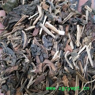 蓼大青叶 蓼大青叶统片 产地 山东省图3