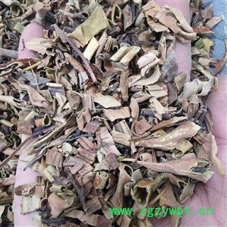 石韦 小叶石韦统段 产地 云南省图3