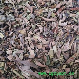 石韦 小叶石韦统段 产地 云南省图2