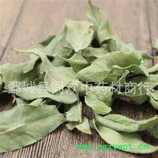 【大叶罗布麻】@【同欢药材】中药材批发供应  规格齐全 量大从优 产地 新疆维吾尔自治区图2