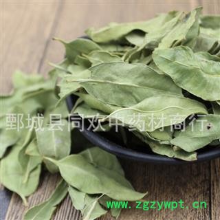 【大叶罗布麻】@【同欢药材】中药材批发供应  规格齐全 量大从优 产地 新疆维吾尔自治区图3