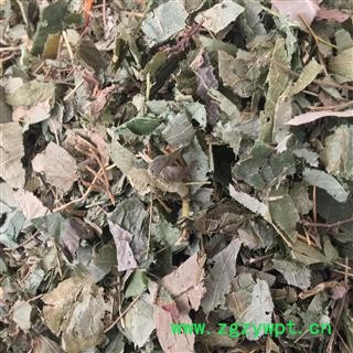 淫羊藿 青色 颜色好  过纱窗无沫 实图拍摄图2