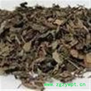 中药材 五爪金龙 走游草图2