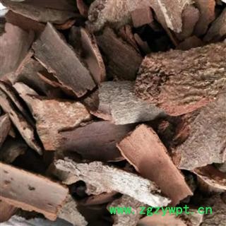 地枫皮 统货 产地 河北省图2