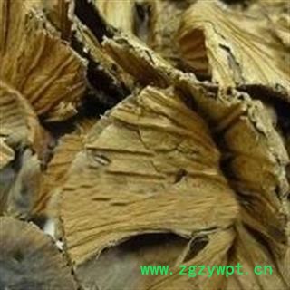 诺源药材行中药材新货荷叶  荷叶蒂图2