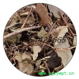 络石藤 统 产地 湖南省安国市场批发零售大全图2