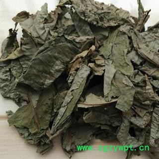 诺源药材行中药材野生材青钱柳叶 麻柳图2