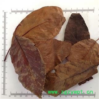 诺源中药材山楂叶  山楂圈  焦山楂图2