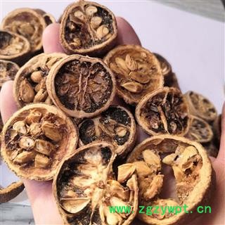 诺源药材行中药材枸橘 臭枸橘图2