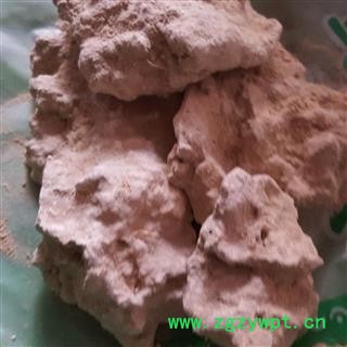 安祁名药正品梧桐泪  梧桐花图2