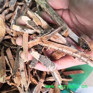 安祁名药中药材杨树皮 白杨皮  白杨树皮图2