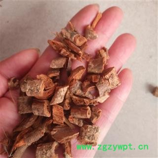 安祁名药紫荆皮  裸枝树 紫珠图2